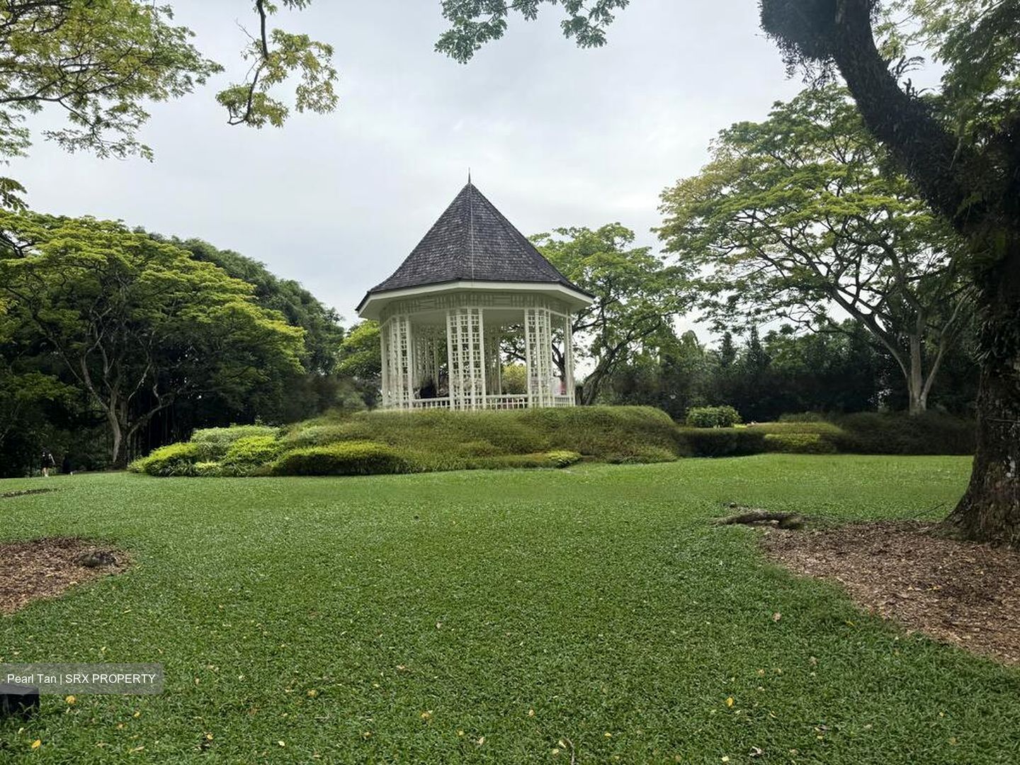 College Green (D11), Detached #476707911